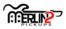 MERLIN1-podstawowe-scaled